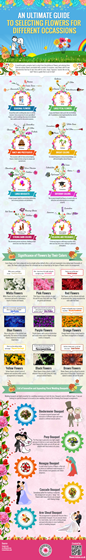 Flower Station: An ultimate guide to selecting flowers for different occasions